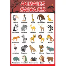 Poster Educativo Animales Salvajes A3+ Fotográfico