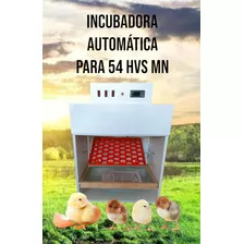 Incubadora Automática Para 54 Huevos 