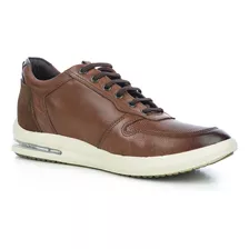 Tenis Urbano Jones Camel Max Denegri +7cms De Altura