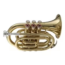 Stagg Ws - Trompeta De Bolsillo Tr245 Sib Con Estuche