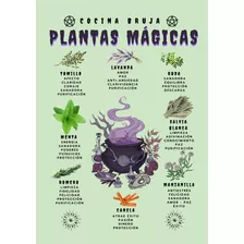 Poster Plantas Mágicas Tamaño A3