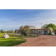 Chacra En Peñarol Viejo/ Colón, 4 Dorm/ 2 Cocinas/ 2 Baños/ Barbacoa.