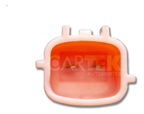 Inyector De Gas Nissan Frontier 1999-2004 3.3 Ck Foto 4