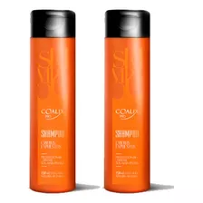 2 Shampoo Defense Cabellos Expuestos 250ml