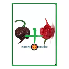 100 Sementes Carolina Reaper Chocolate + Carolina Reaper Red