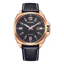 Citizen Endicott Aw1723-02e