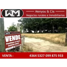 Venta Chacra Flores 5 Hectárea A 3 Km De Trinidad Flores