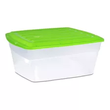 Caja Organizadora Plástica Con Tapa 10 Lt - 30 X 19 X 13 Cm