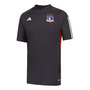 Primera imagen para búsqueda de adidas chile