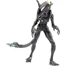 Hiya Toys Alien Vs Predator: Blowout Alien Warrior 1:18