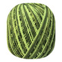 Barbante Multicolor 6 Fios 200gr Prial Cor Verde Folha