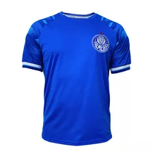 Camisa Palmeiras Betel Goalkeeper Iii Masculino Licenciado