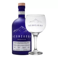 Gin Aconcagua Handcrafted 750 Ml + Copa Original Copón