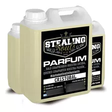 Stealing Souls | Perfume Fragancia Auto | Cristobal | 10lts