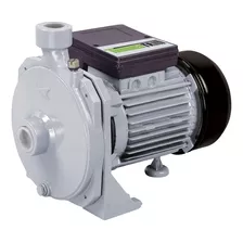 Bomba Centrifuga 3/4hp Turbina De Bronce Thundertrim Tt08360 Color Gris Fase Eléctrica Monofásica