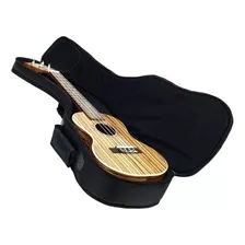 Estuche De Guitarra