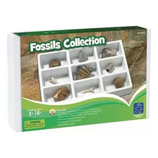 Educational Insights Geosafari Fossils Collection