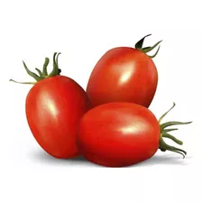 Semilla Tomate Tipo Saladette Pack 10 Semillas Hidroponía Hb