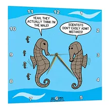 Stubborn Science And The Male Seahorse Dilemma - Reloj ...