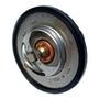 Tanque Derecho Radiador Land Rover Evoque/volvo Cx60 Land Rover 45