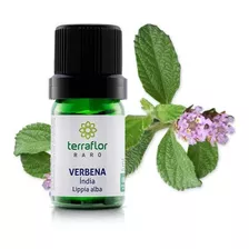 Verbena Índia Óleo Essencial Lippia Alba Terra Flor 5ml