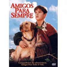 Dvd Amigos Para Sempre - Mimi Rogers - Lacrado Original