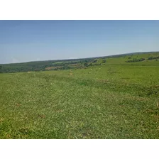 Fazenda 3 Quartos Sala Cozinha Banheiro 29 Hectares 