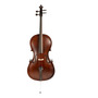 Tercera imagen para búsqueda de violoncello