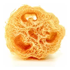 10 Semillas Luffa (esponja Vegetal)