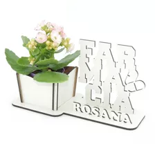 5 Porta Flores Display Personalizado Mdf Branco Farmácia