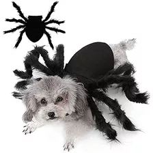 Disfraces De Halloween Perros Y Gatos - Araña Gigante ...