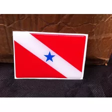 Adesivo Resinado Da Bandeira Do Estado Do Pará 9x6 Cm