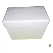 Cajas Térmicas Conservadoras Tergopol Usadas 29x18.5x21 (cm)