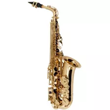 Sax Alto Saxofone Alto Vogga Vsas701 N Laqueado Com Estojo