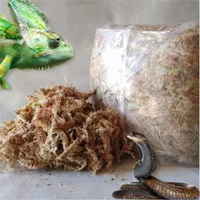 Musgo Sphagnum Para Reptiles Y Exóticos (5 Kilos, 90% Seco)