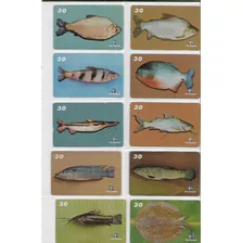Cartão Telefonico-serie Completa Peixes Do Mearim