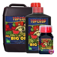 Big One 250 Ml