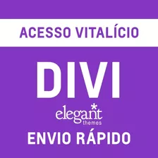 Elegant Themes Tema Divi Wordpress Ativação Licença Api Key