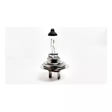 Lampada Halogena De Tungstenio Para Tens