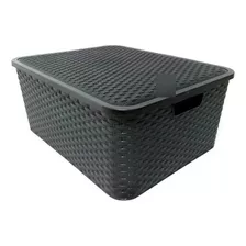 Canasto Caja Organizadora Plastico Rattan Grande 