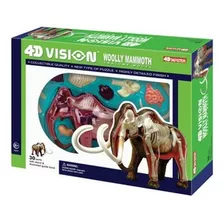 Modelo Anatómico De Mamut Wolly 4d Por 4d Master