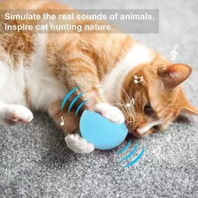 Smart Squeak Gato Fidget Juguetes Para Gatos Accesorios Kit