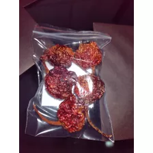 Pimenta Carolina Reaper Desidratada (a Mais Forte Do Mundo)