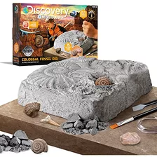 Discovery Mindblown Colossal Fossil Dig Dig Set De 15 P...