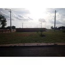 Terreno Na Região Da Universidade Estadual De Feira De Santana/ba