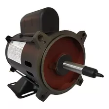 Motor Para Bomba De Piscina 0,5 Cv Weg Igui, Jacuzzi, Dancor