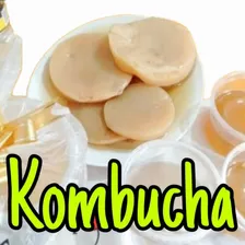 Scoby De Kombucha + Manual Comece Sua Jornada De Fermentação