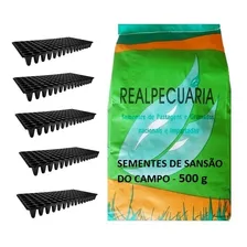 500 Gr De Sementes De Sansão Do Campo + Brinde