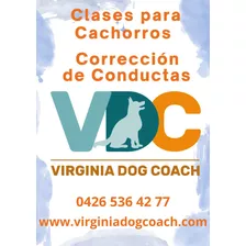 Entrenamiento Canino A Domicilio Y Asesorías Por Video Chat