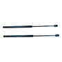 2 Amortiguadores Traseros Nissan Sentra B13 93 R & L Nissan Pathfinder (1999-5)